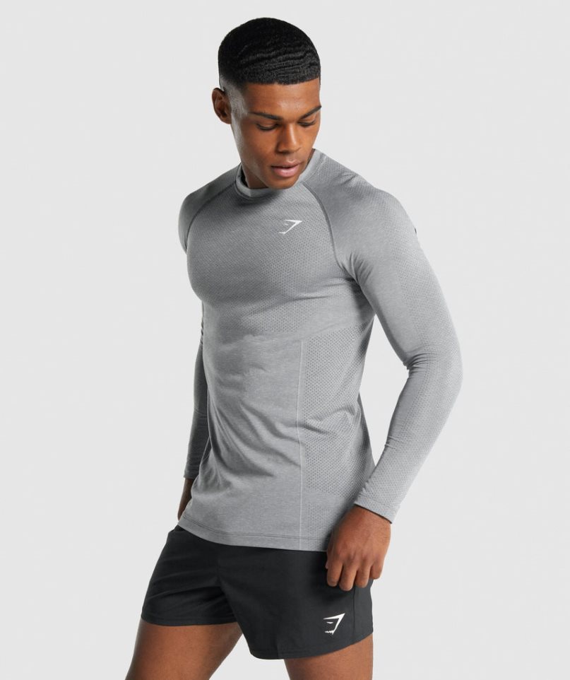 Men's Gymshark Vital Light Seamless Long Sleeve T-Shirts Grey | CA 7N65D3